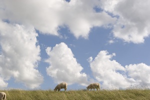 Bilder aus der Region Bilder aus der Region